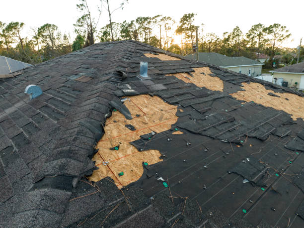 Best Skylights  in Montpelier, OH
